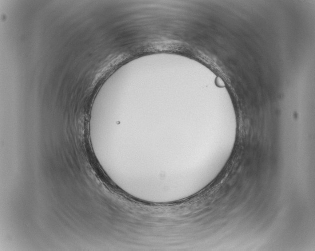 X0000060270010200511181431