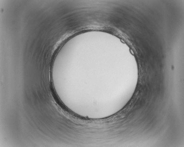 X0000060270011200511181431