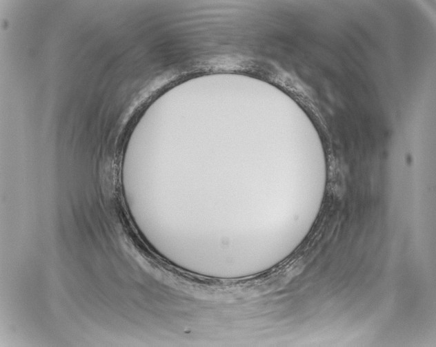 X0000060270012200511181431