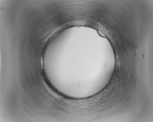 X0000060270013200511181431