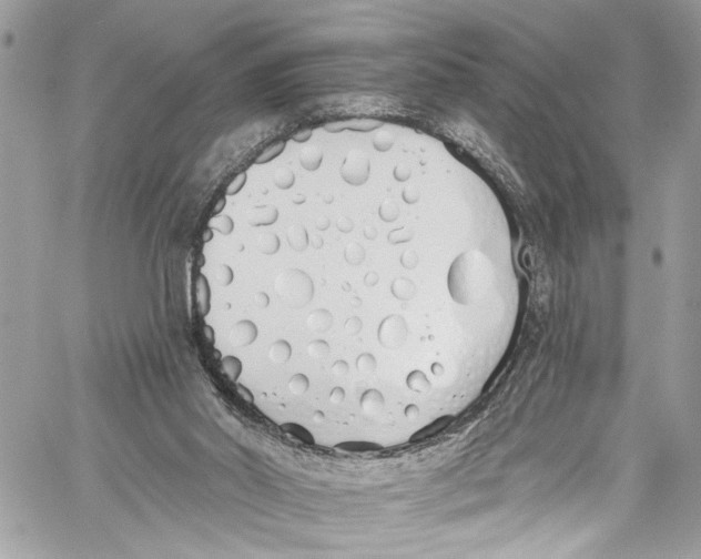 X0000060270014200511181431