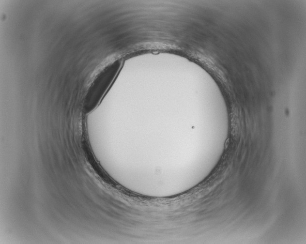 X0000060270015200511181431