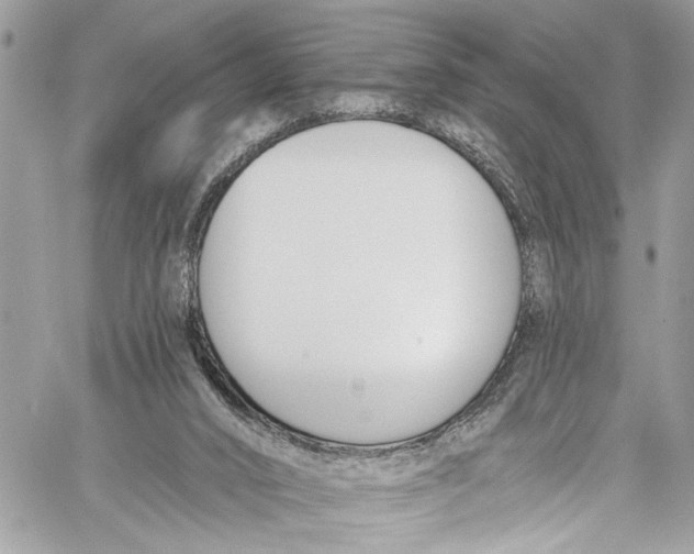 X0000060270016200511181431