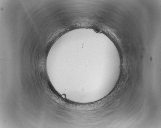 X0000060270017200511181431