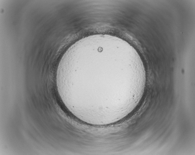 X0000060270018200511181431