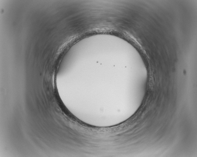 X0000060270019200511181431