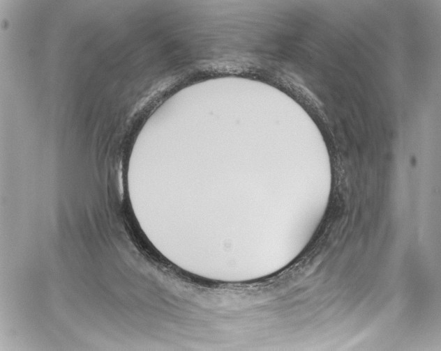 X0000060270020200511181431