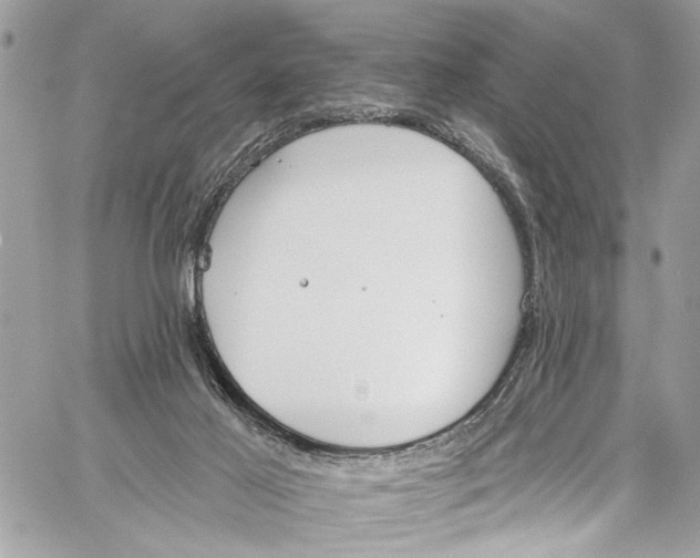 X0000060270021200511181431