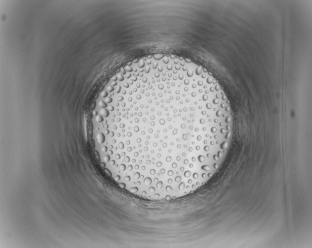 X0000060270022200511181431