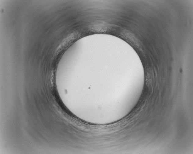 X0000060270023200511181431