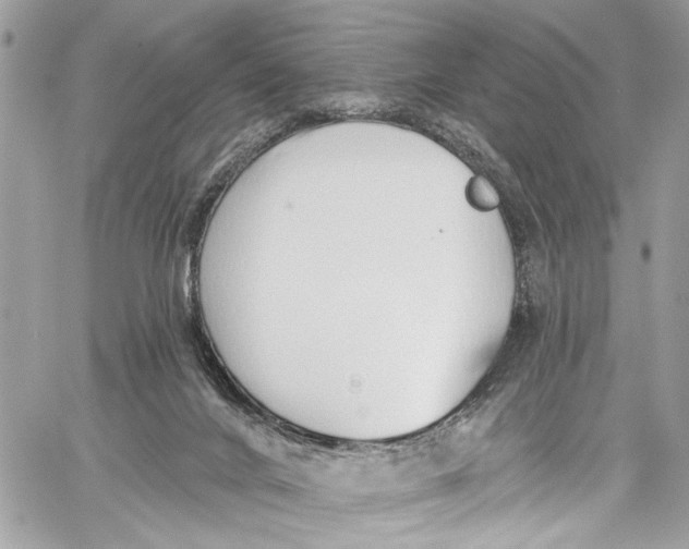 X0000060270024200511181431