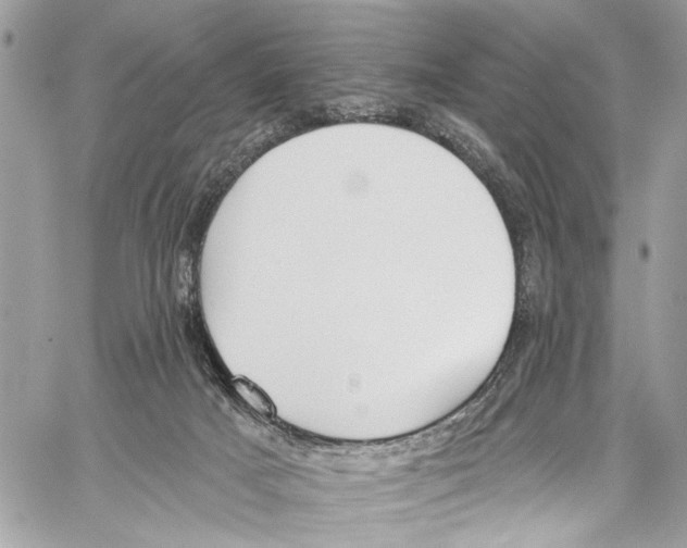 X0000060270025200511181431