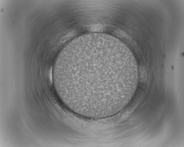 X0000060270028200511181431