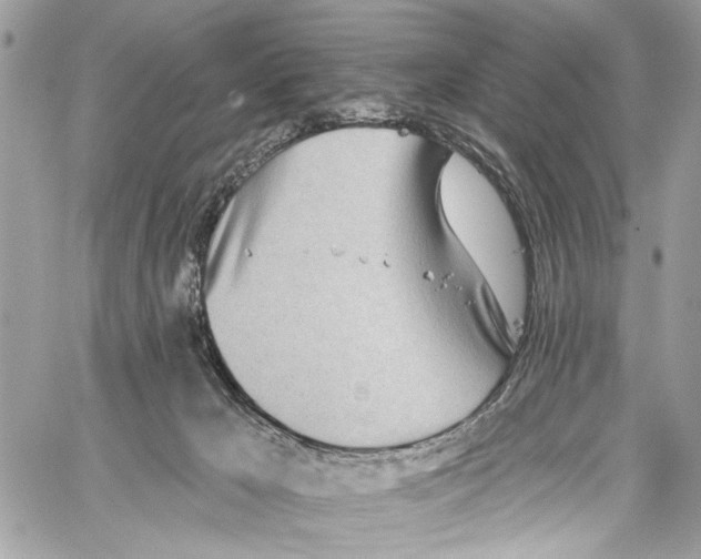 X0000060270029200511181431