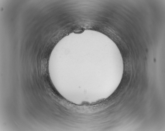 X0000060270030200511181431