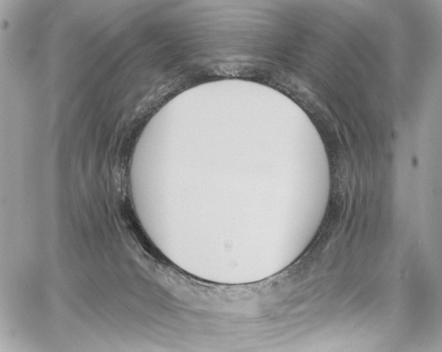 X0000060270031200511181431