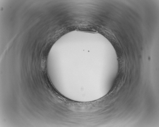 X0000060270033200511181431