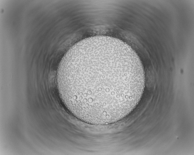 X0000060270034200511181431