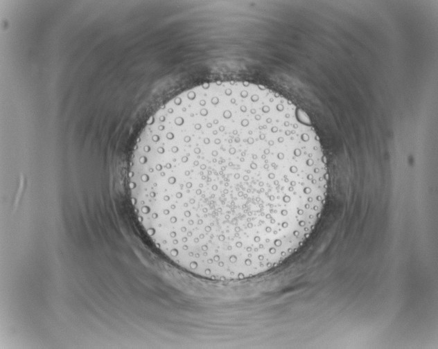 X0000060270038200511181431