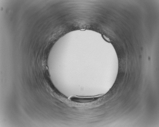 X0000060270039200511181431