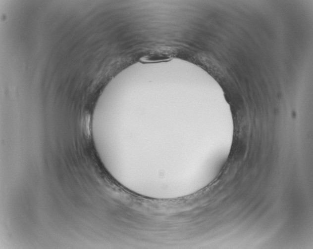 X0000060270041200511181431