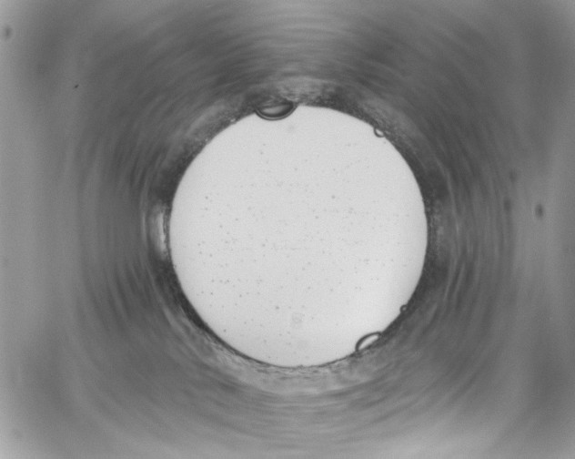 X0000060270042200511181431