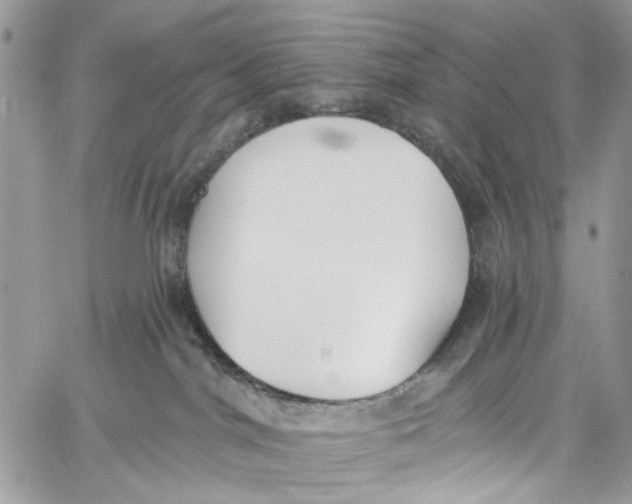 X0000060270044200511181430