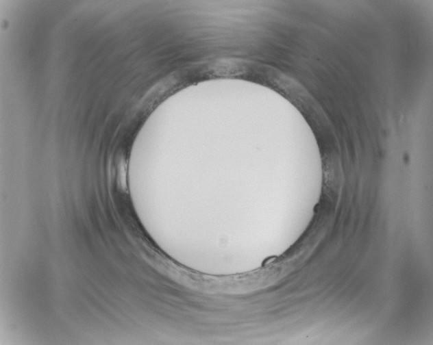 X0000060270046200511181430