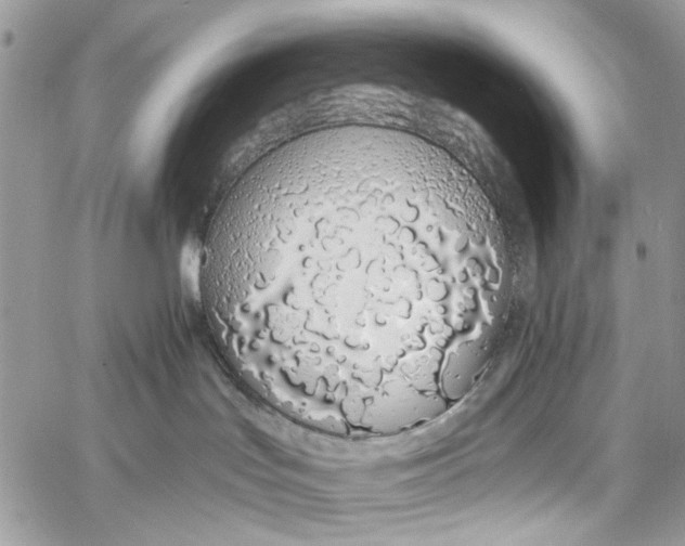 X0000060270047200511181430