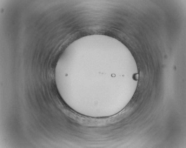 X0000060270048200511181430