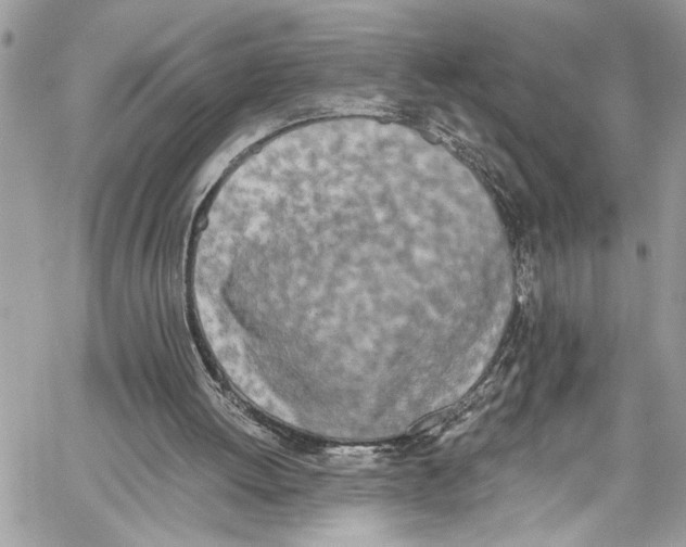 X0000060270052200511181430