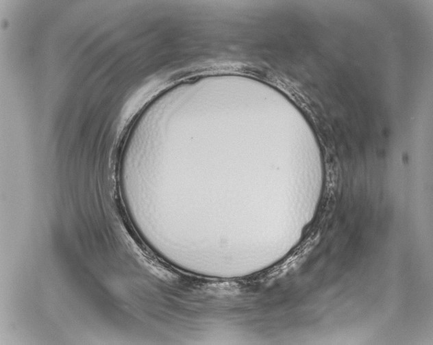 X0000060270053200511181430