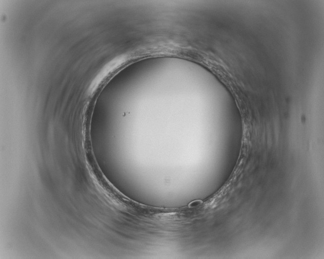 X0000060270054200511181430