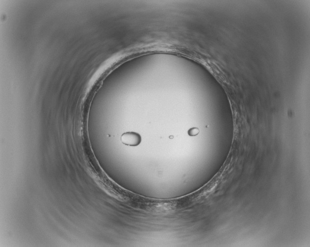 X0000060270056200511181430