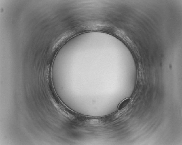 X0000060270058200511181430