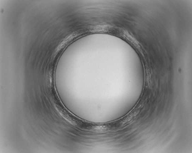 X0000060270059200511181430