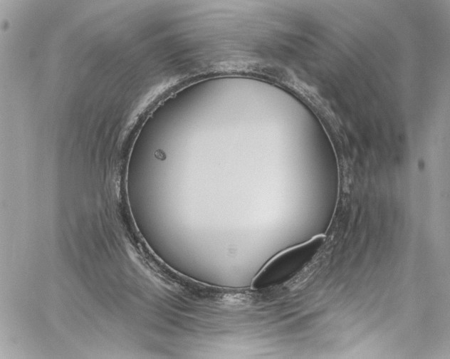 X0000060270060200511181430