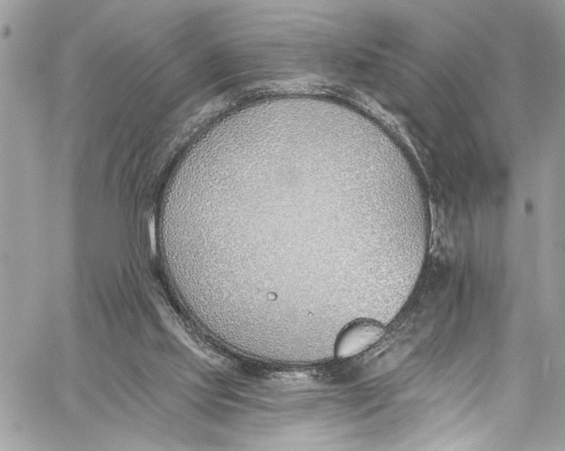 X0000060270061200511181430