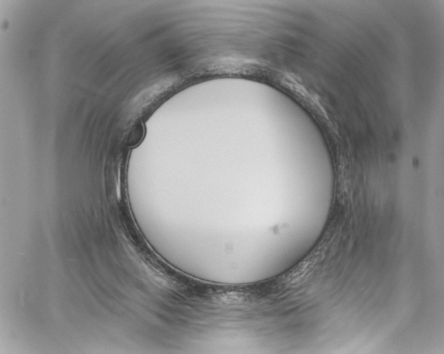 X0000060270062200511181430