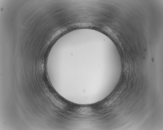 X0000060270063200511181430