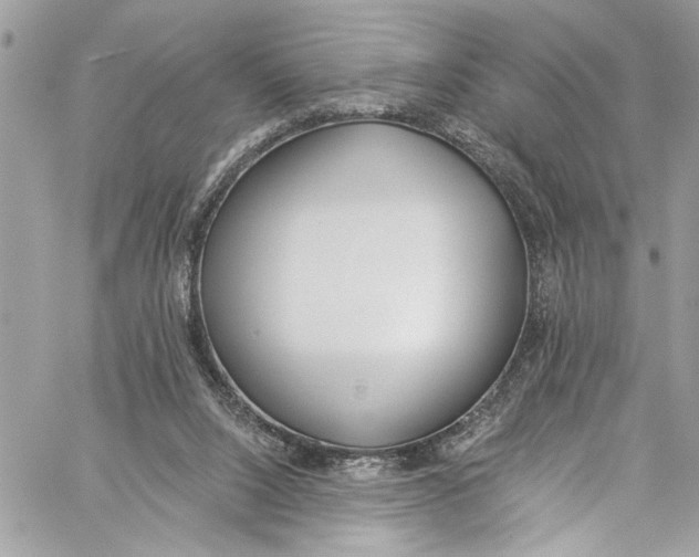 X0000060270064200511181430