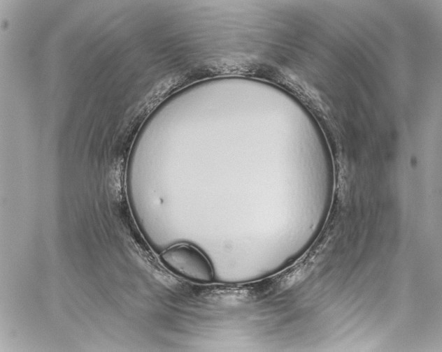 X0000060270065200511181430