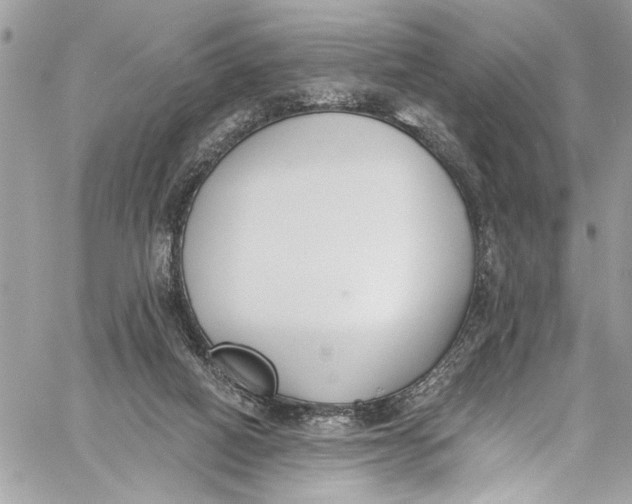 X0000060270066200511181430