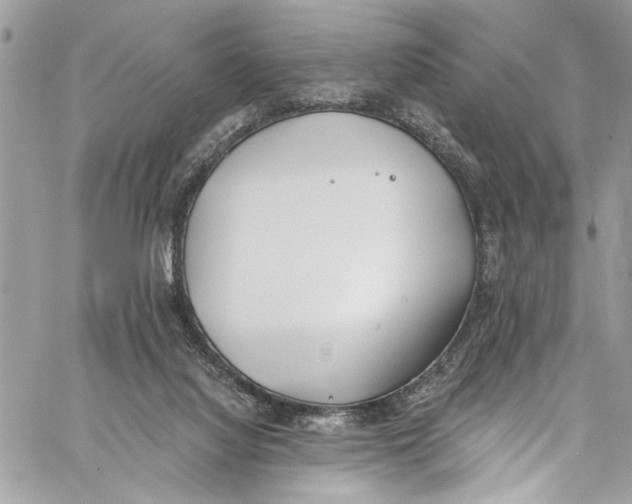 X0000060270068200511181430