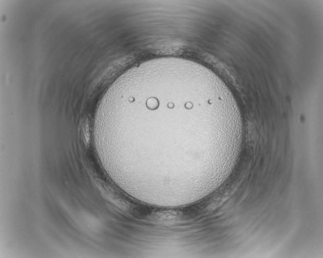 X0000060270069200511181430