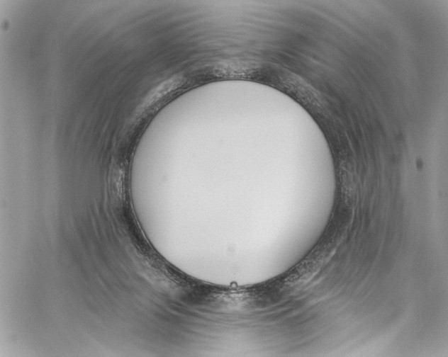 X0000060270071200511181430