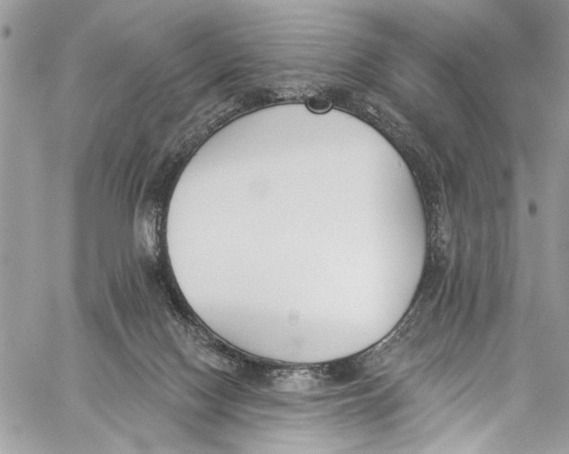 X0000060270074200511181430