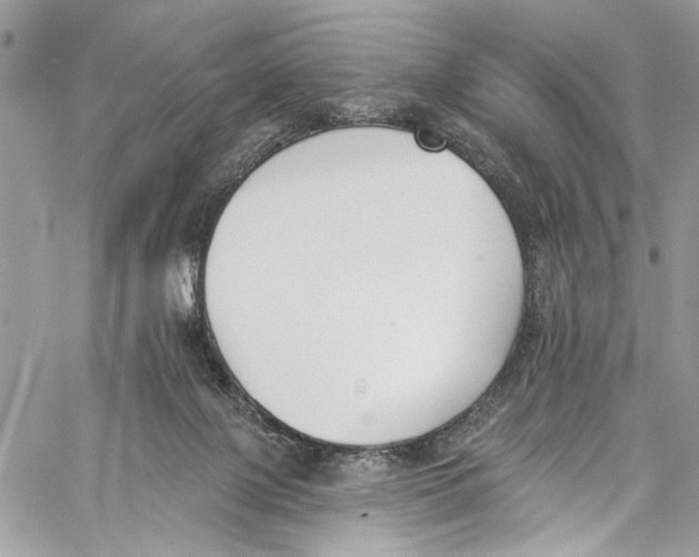 X0000060270075200511181430