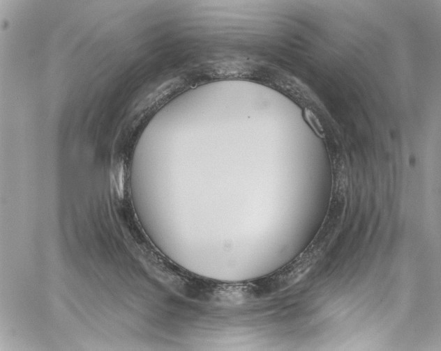 X0000060270076200511181430