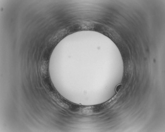 X0000060270078200511181430